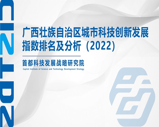 抽插操弄【成果发布】广西壮族自治区城市科技创新发展指数排名及分析（2022）